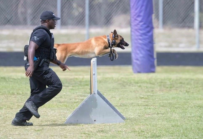 Canine Unit 2